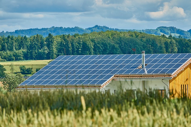 Solar Panel Efficiency Comparison